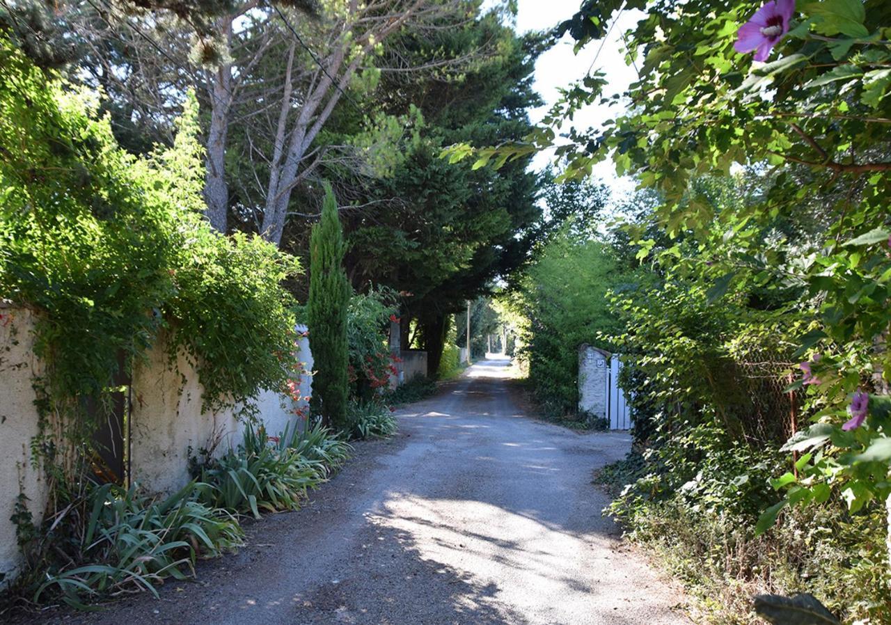 La Maison Des Invites Pernes-les-Fontaines Bagian luar foto