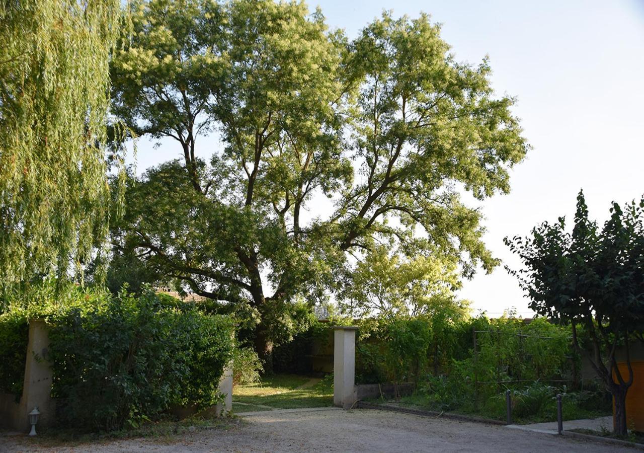 La Maison Des Invites Pernes-les-Fontaines Bagian luar foto